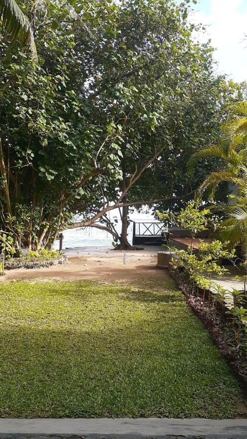 Beach Paradise Hotel Matara Eksteriør billede