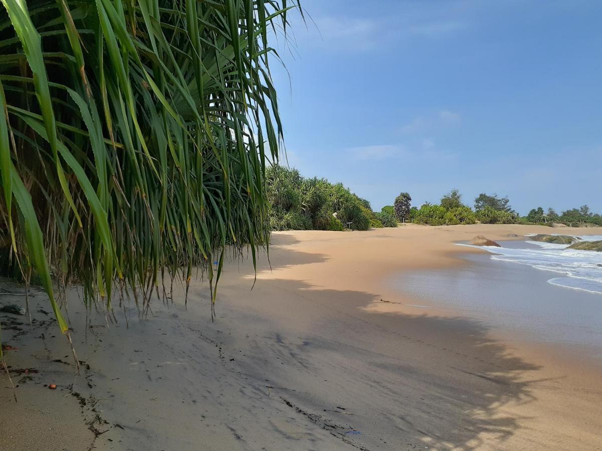 Beach Paradise Hotel Matara Eksteriør billede